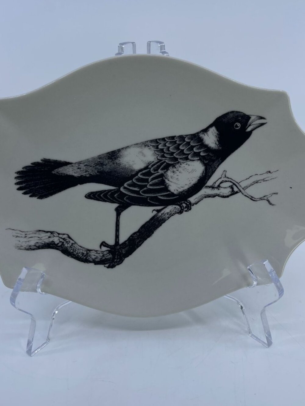 vintage creative coop decorative ceramic plate with starling on branch